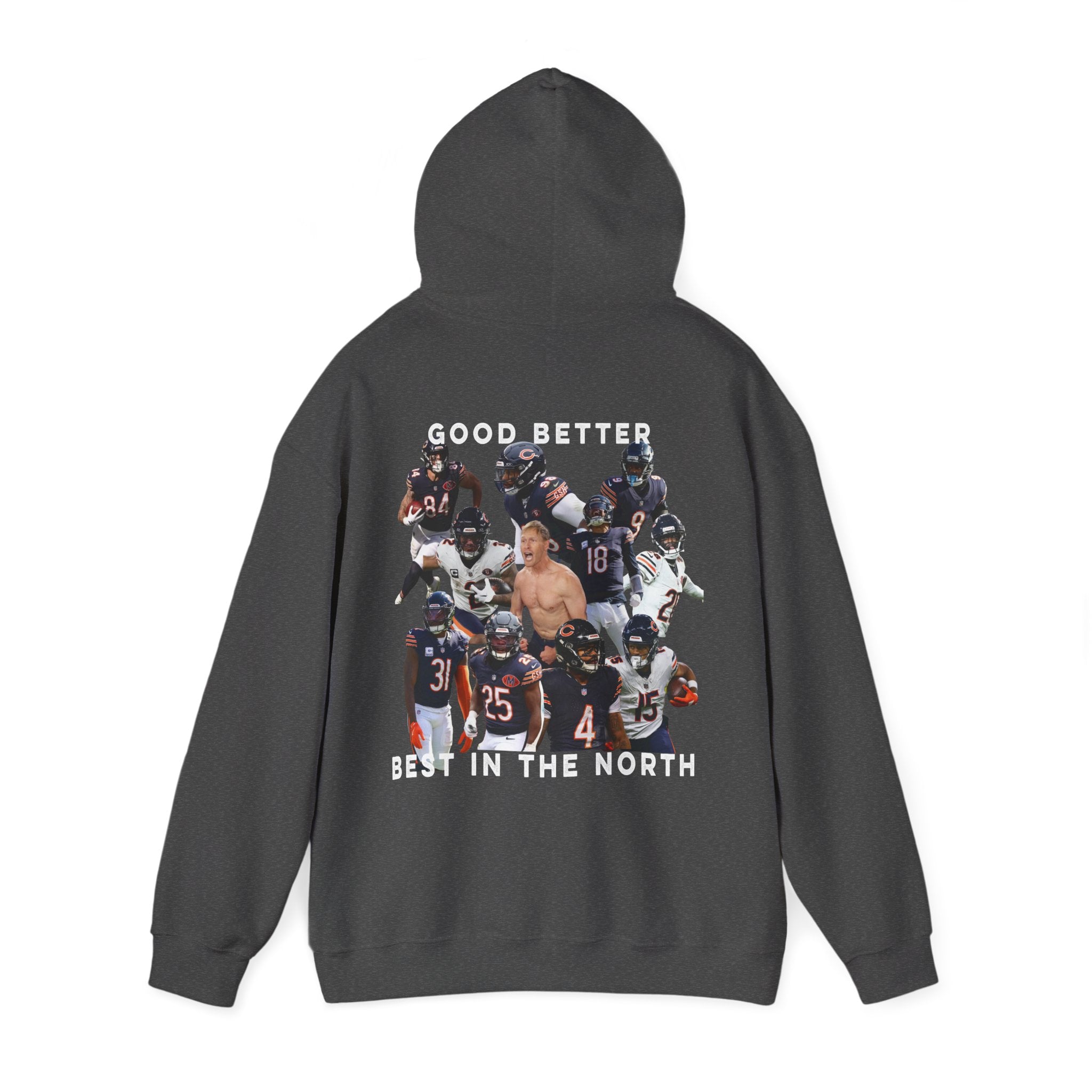 Good Better Best In The North Premium Hoodie
