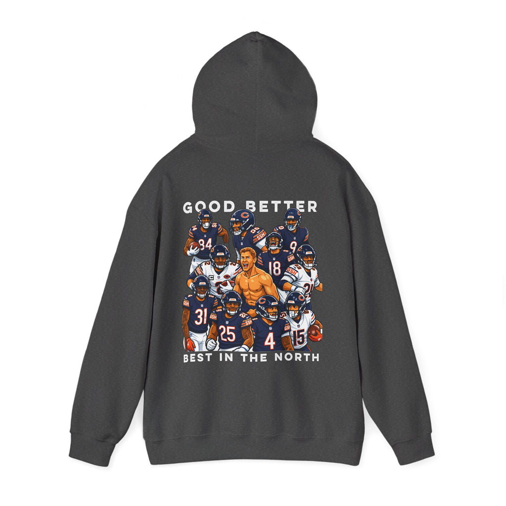 Good Better Best In The North Cartoon Premium Hoodie